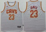 Wholesale Cheap Men's Cleveland Cavaliers #23 LeBron James Revolution 30 Swingman 2014 New Gray Jersey