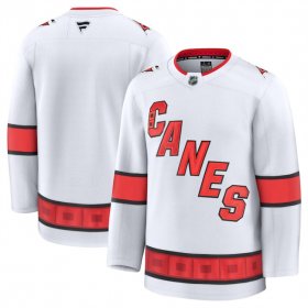 Men\'s Carolina Hurricanes Blank White 2024-25 Away Stitched Hockey Jersey