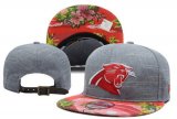 Wholesale Cheap Carolina Panthers Snapbacks YD006