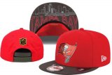 Wholesale Cheap Tampa Bay Buccaneers Snapback_18109