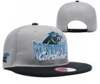 Wholesale Cheap Carolina Panthers Snapbacks YD013