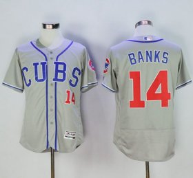 Wholesale Cheap Cubs #14 Ernie Banks Grey Flexbase Authentic Collection Alternate Road Stitched MLB Jersey