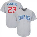 Wholesale Cheap Cubs #23 Ryne Sandberg Grey Road Stitched Youth MLB Jersey