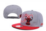 Wholesale Cheap NBA Chicago Bulls Snapback Ajustable Cap Hat XDF 03-13_21