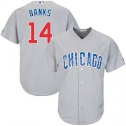 Wholesale Cheap Cubs #14 Ernie Banks Grey Road Stitched Youth MLB Jersey