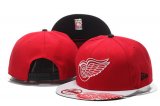 Wholesale Cheap NHL Detroit Red Wings hats 3