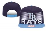 Wholesale Cheap MLB Tampa Bay Rays Snapback_18215