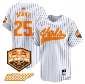 Men\'s Tennessee Volunteers #25 Blake Burke White Pinstripe 2024 Champions Vapor Limited Stitched Jersey