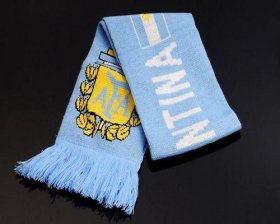 Wholesale Cheap Argentina Soccer Football Scarf Blue