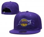 Wholesale Cheap 2021 NBA Los Angeles Lakers Hat TX326