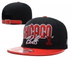 Wholesale Cheap NBA Chicago Bulls Snapback Ajustable Cap Hat YD 03-13_59