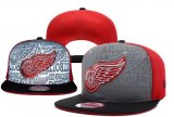 Wholesale Cheap Detroit Red Wings Snapbacks YD002